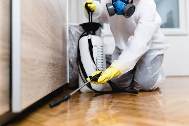 Reliable Vincent, AL Pest Control Solutions