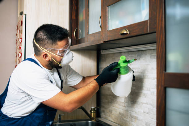 Best Emergency Pest Control  in Vincent, AL