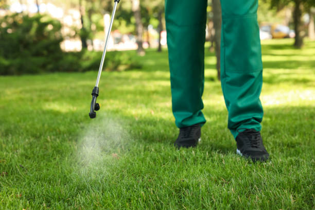 Best Rat Extermination Near Me  in Vincent, AL