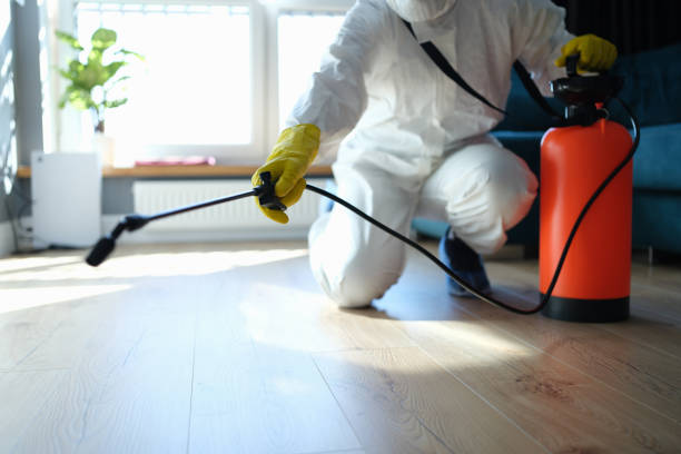 Best Pest Removal Services  in Vincent, AL