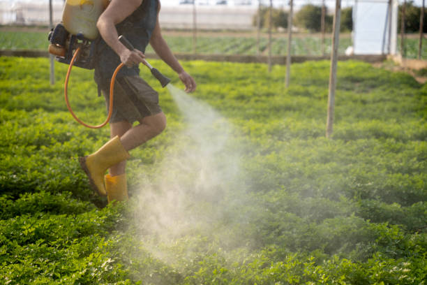Best Pest Control Near Me  in Vincent, AL