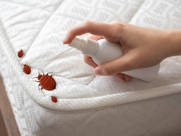 Best Pest Removal Services  in Vincent, AL